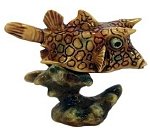 Cow Fish